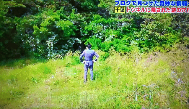 ☆何だコレ0630ニカ2.gif
